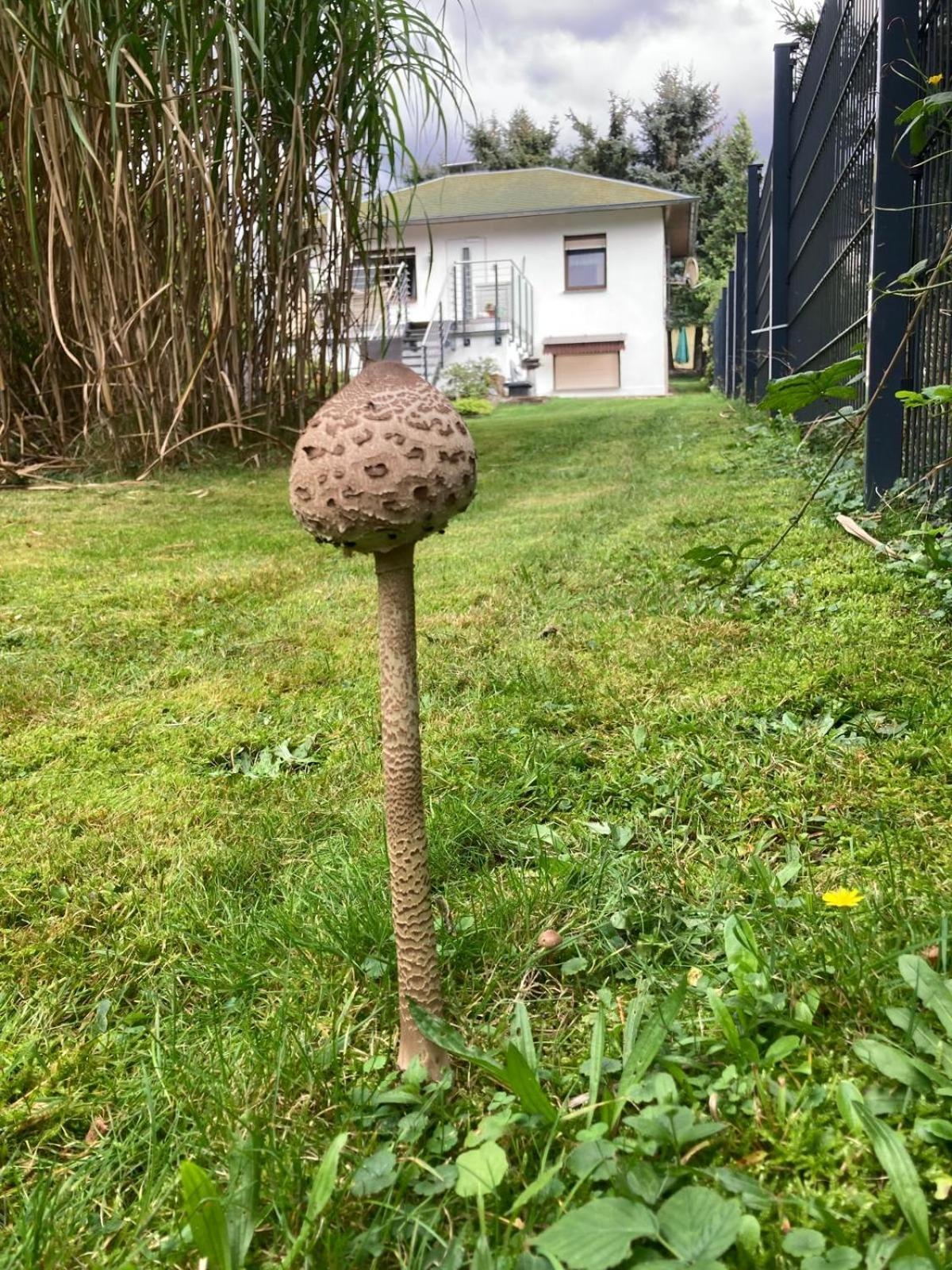 Ferienhaus Fuxbau Wohlau Zewnętrze zdjęcie
